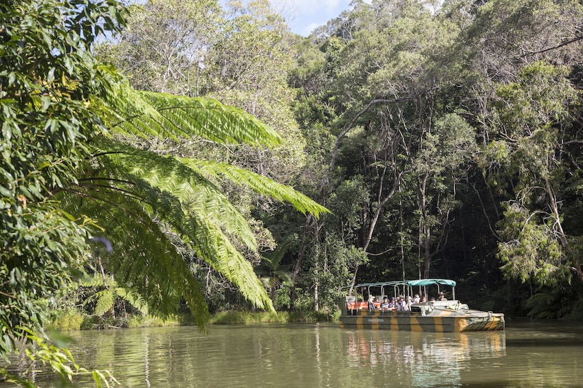 Army Duck Tour, Kuranda Scenic Railway & Skyrail Cableway