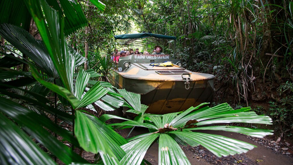Army Duck Tour, Kuranda Scenic Railway & Skyrail Cableway