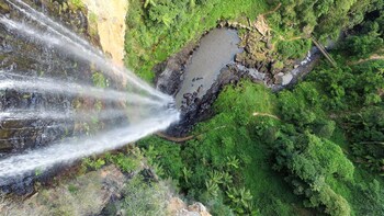 Natural Bridge & Springbrook Afternoon Tour