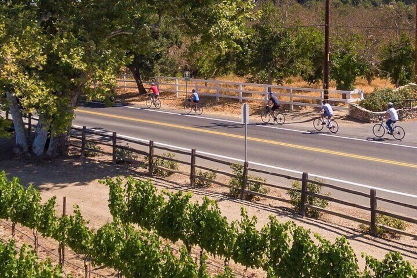 Wine Country E-Bike Guided Tour - w/o Lunch