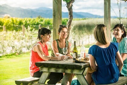 Full Day Winemakers Tour in Marlborough