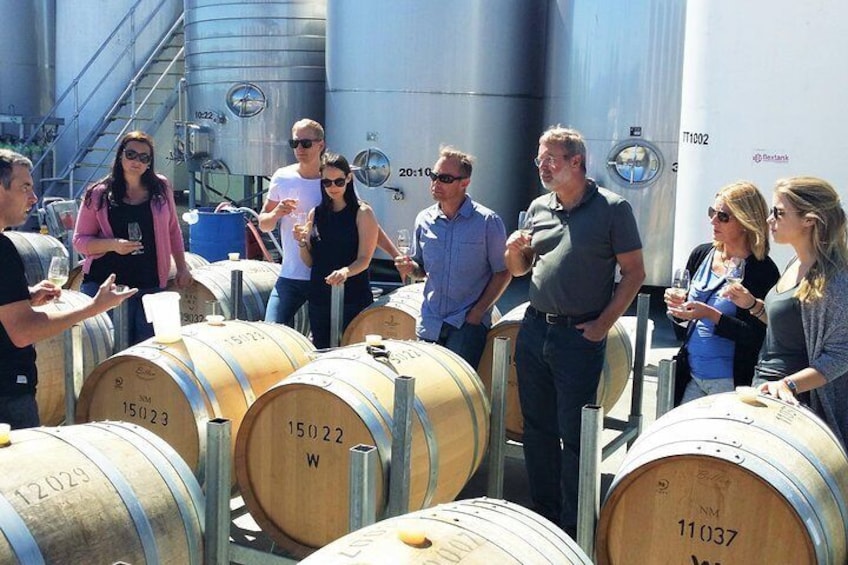 Winery tour and barrel tasting