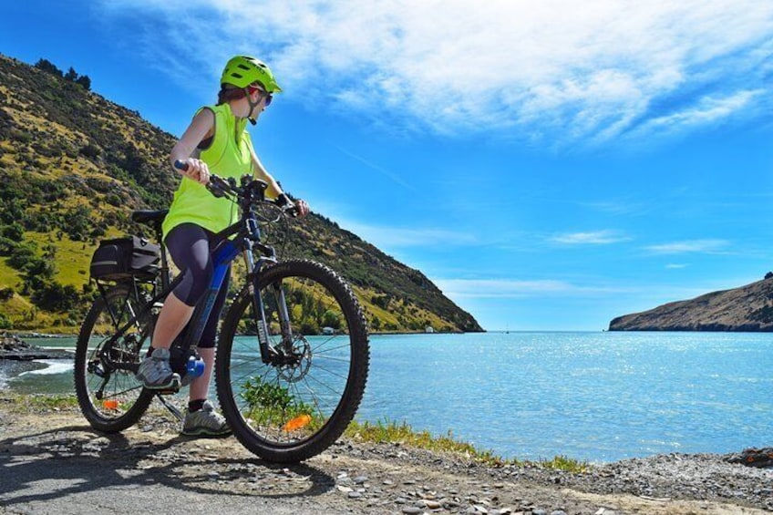 Coastal Cruise- Guided Electric Bike Tour in Akaroa