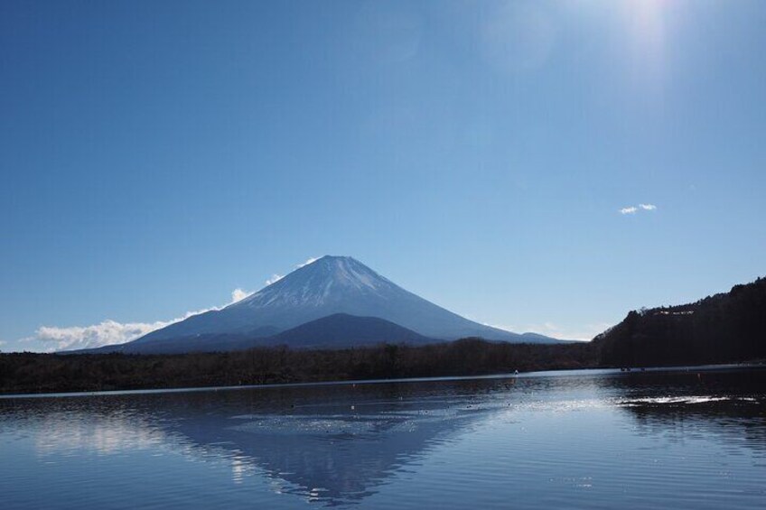 Scenic Spots of Mt Fuji and Lake Kawaguchi 1 Day Bus Tour