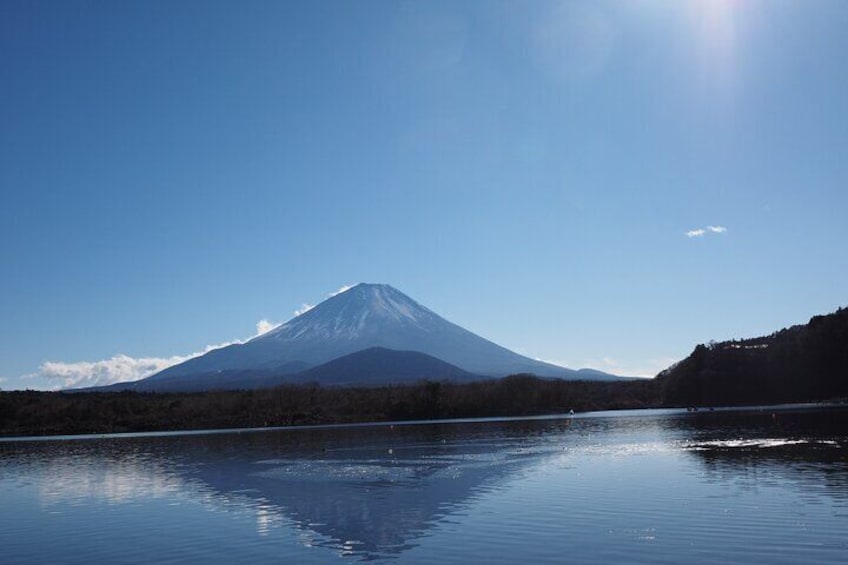 Scenic Spots of Mt Fuji and Lake Kawaguchi 1 Day Bus Tour
