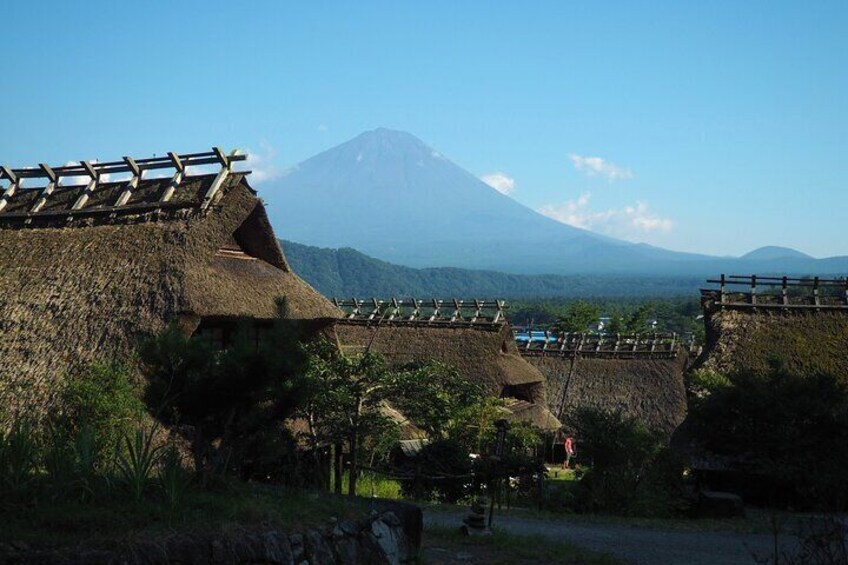 Scenic Spots of Mt Fuji and Lake Kawaguchi 1 Day Bus Tour