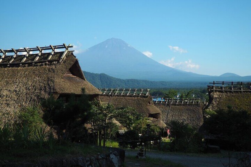 Scenic Spots of Mt Fuji and Lake Kawaguchi 1 Day Bus Tour