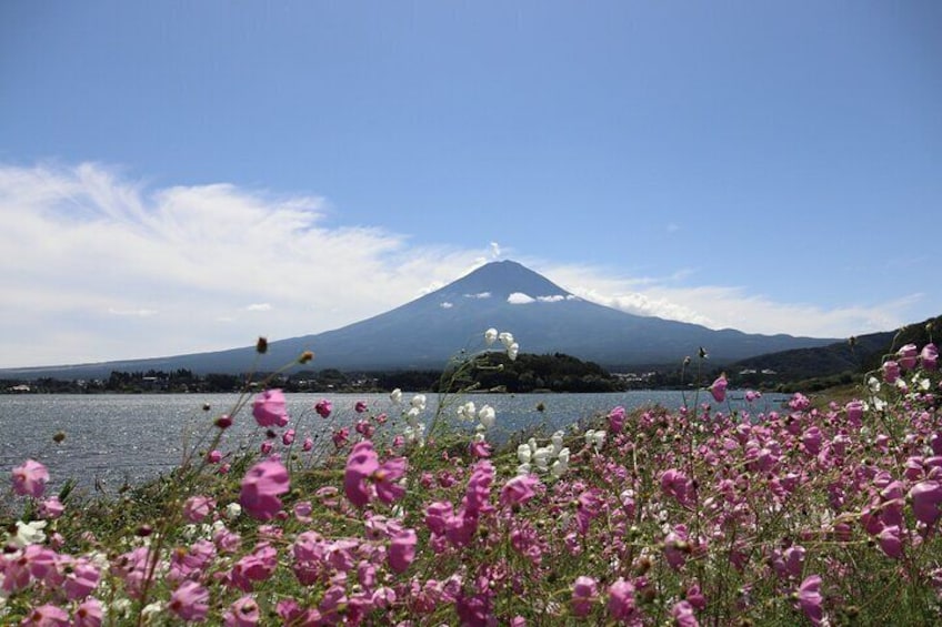 Scenic Spots of Mt Fuji and Lake Kawaguchi 1 Day Bus Tour