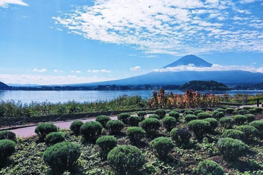 Scenic Spots of Mt Fuji and Lake Kawaguchi 1 Day Bus Tour