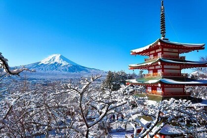 Scenic Spots of Mt Fuji and Lake Kawaguchi 1 Day Bus Tour