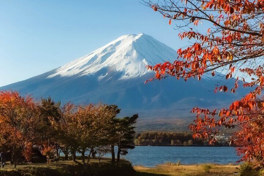 Scenic Spots of Mt Fuji and Lake Kawaguchi 1 Day Bus Tour