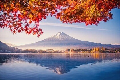 富士山和川口湖一日遊巴士遊覽景點