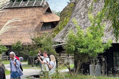 Scenic Spots of Mt Fuji and Lake Kawaguchi 1 Day Bus Tour