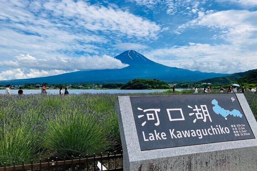 Scenic Spots of Mt Fuji and Lake Kawaguchi 1 Day Bus Tour