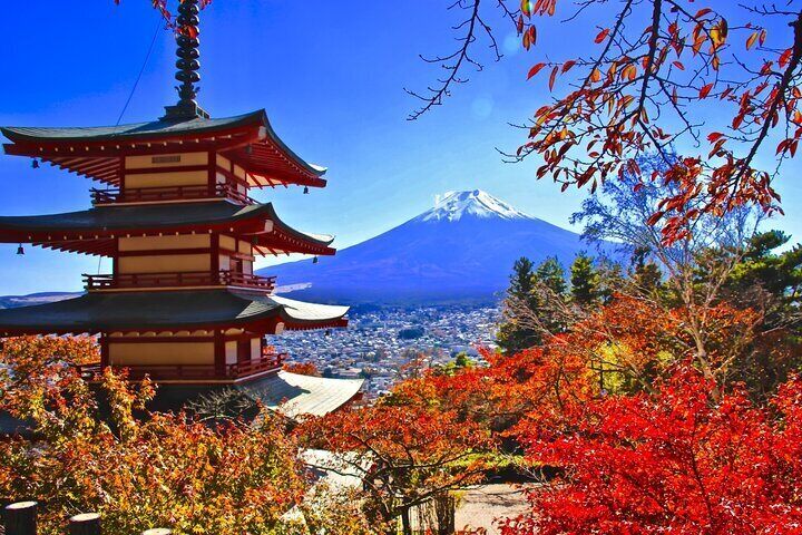 Tokyo: Mt.Fuji & Lake Kawaguchiko 1-Day Bus Tour w/Optional Lunch
