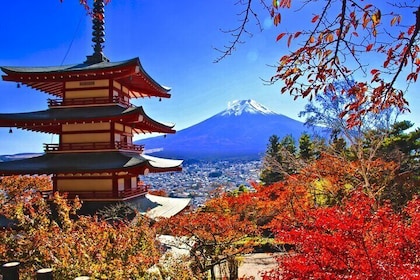 Scenic Spots of Mt Fuji and Lake Kawaguchi 1 Day Bus Tour
