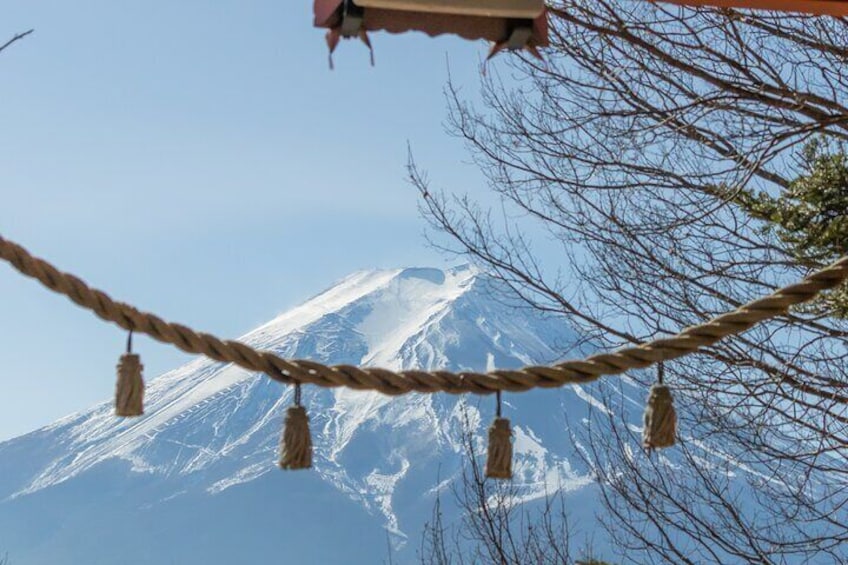 Scenic Spots of Mt Fuji and Lake Kawaguchi 1 Day Bus Tour