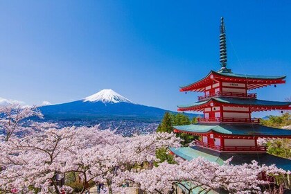 富士山と川口湖の観光絶景スポット1日観光バスツアー