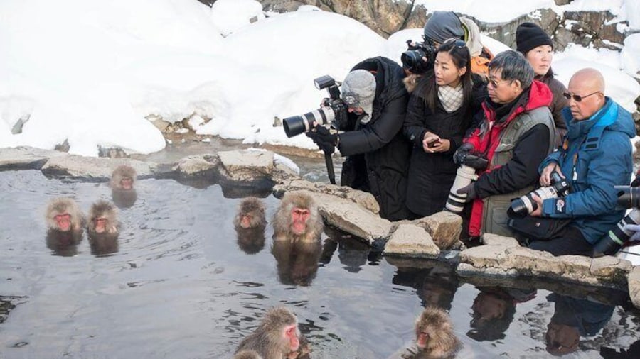 Full-Day Private Nagano Tour: Zenkoji Temple, Obuse, Jigokudani Monkey Park