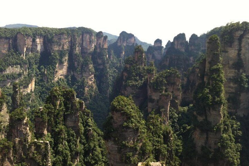 Full-Day Zhangjiajie National Forest Park Tour: Tianzi Mountain and Yuanjiajie