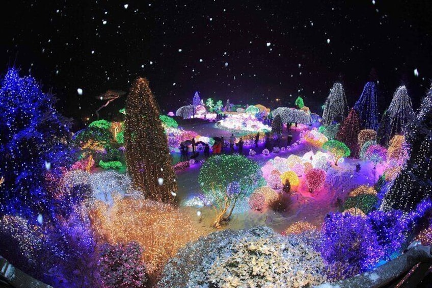 The Garden of Morning Calm (winter)