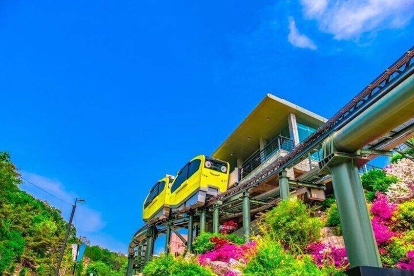 Pocheon Seasonal Fruit Picking & Exploration Tour From Seoul