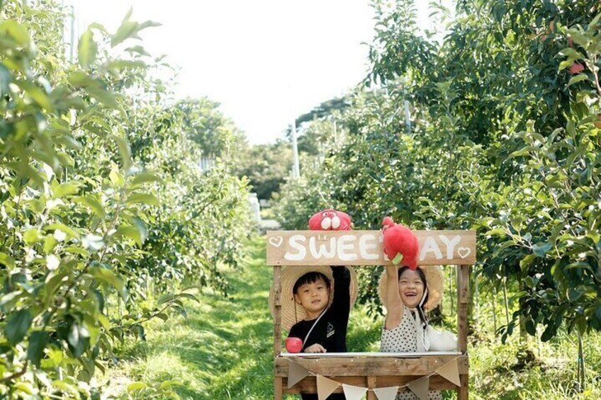 Pocheon Seasonal Fruit Picking & Exploration Tour From Seoul