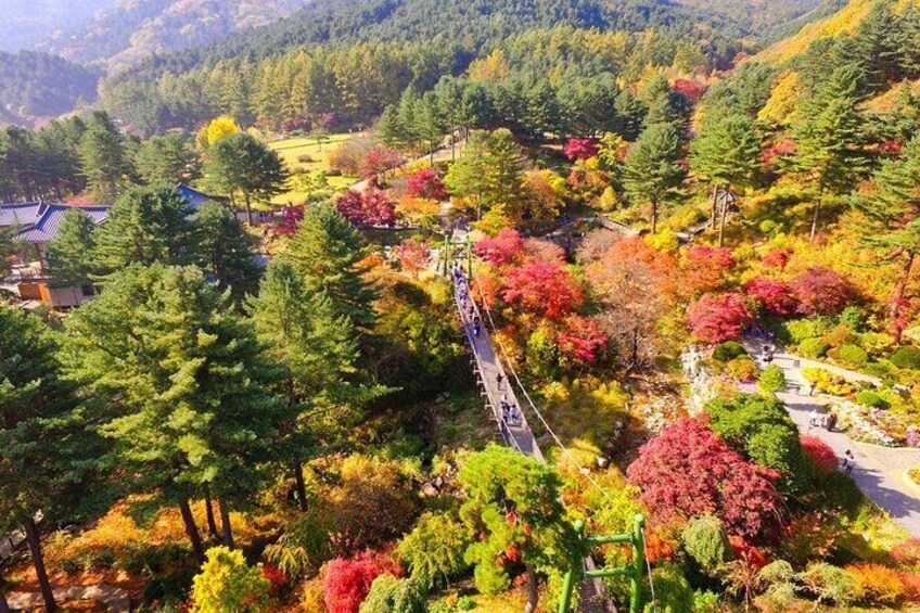 The Garden of Morning Calm (autumn)