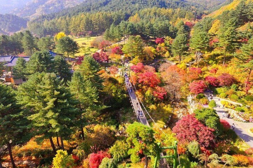 The Garden of Morning Calm (autumn)