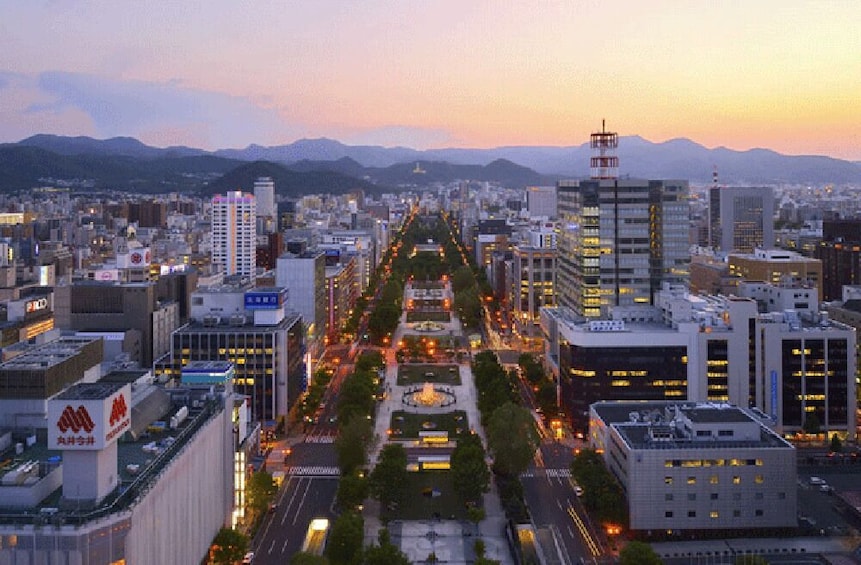 Show item 4 of 5. Sapporo TV Tower Observation Deck Ticket