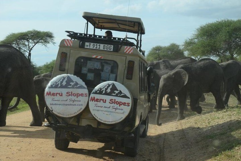 3 Days Safari (Lake Manyara / Ngorogoro Crater / Tarangire National Park)