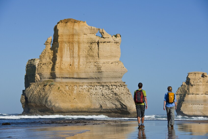 Great Ocean Road & Otway Discovery Tour