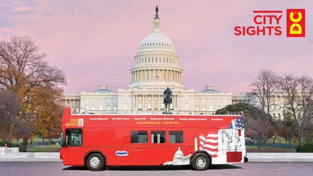 Hop-On Hop-Off Bus Tour