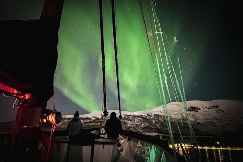 Arctic fjord scenery