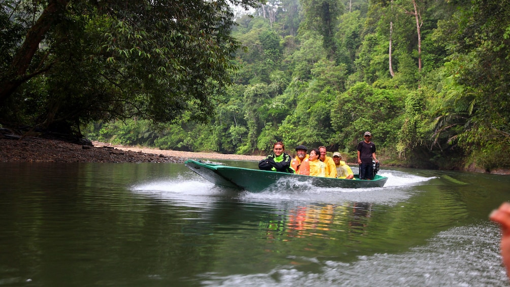 Show item 4 of 5. Group sailing down the water at the Ulu Temburong National Park