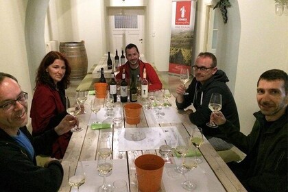 5. Wine tasting: The modern wines of Greece with BBQ in the vineyard