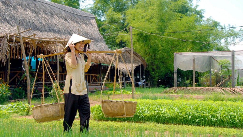 View of a woman carrying baskets of veggies and herbs from the vegetable & herb-growing village of Tra Que in Vietnam
