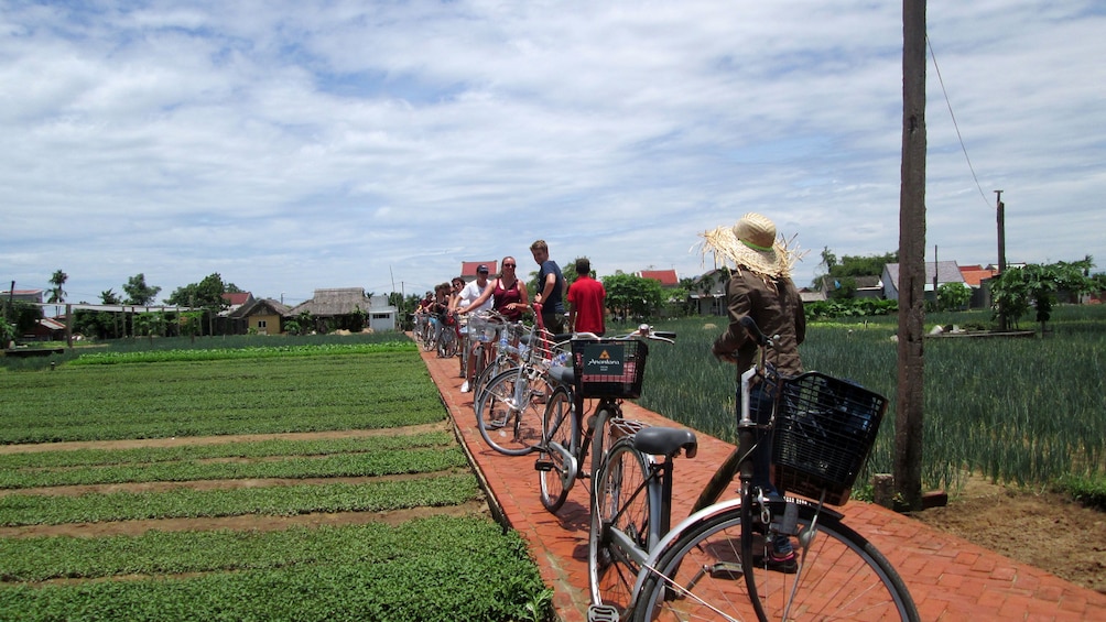 Tourists on a leisurely bike ride through bustling Hoi An and rural Tra Que in Vietnam