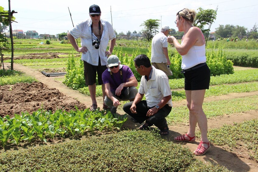 Flavors of Vietnam: Hoi An  Market & Tra Que Village Cooking Class