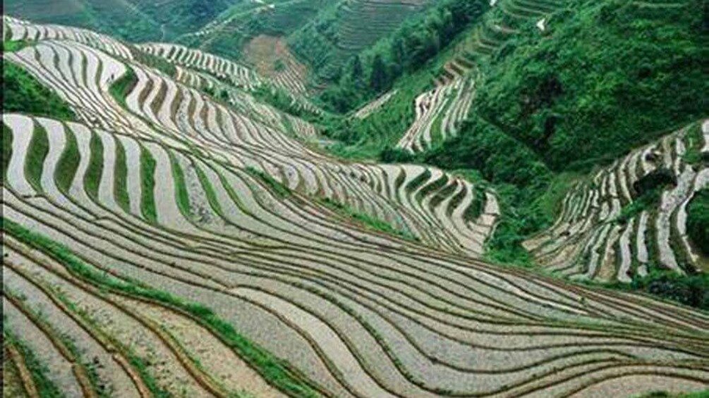 steep mountain lined with rice paddies in Guilin