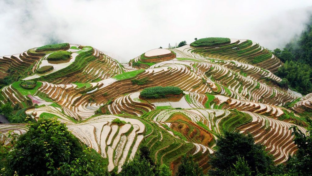topography shaped by rice paddies in Guilin