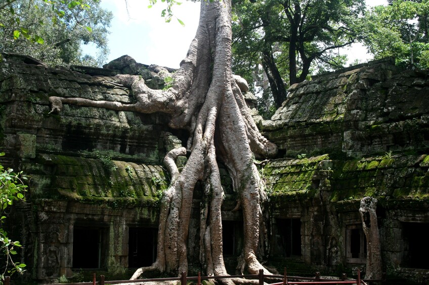 Angkor Temples Private Small-Group Tour 