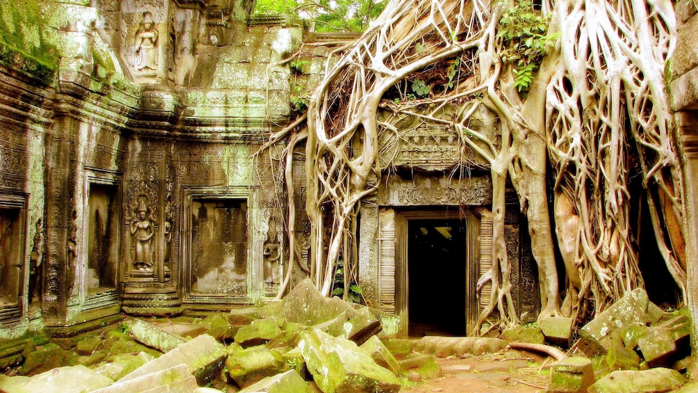 Angkor Tample in Ho Chi Minh 