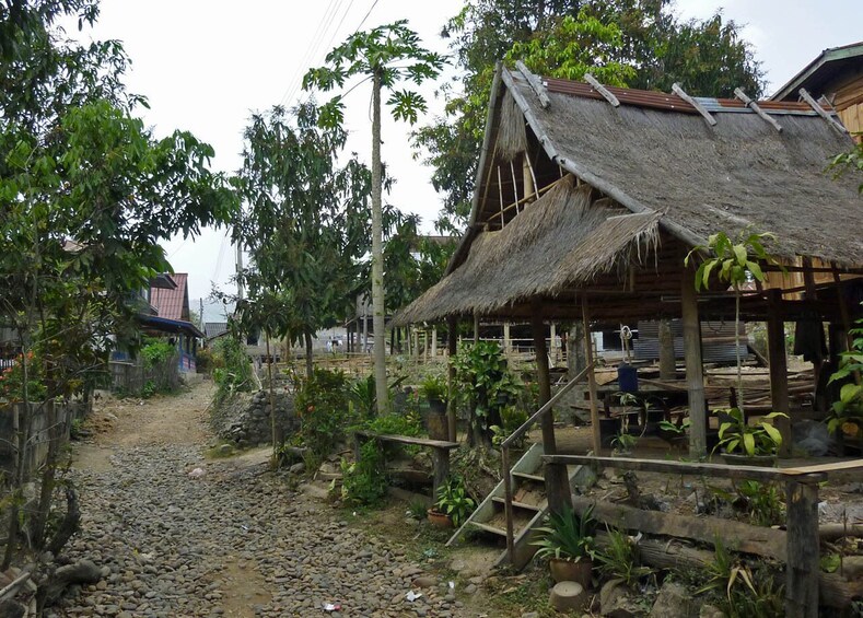 Kuang Si Waterfall & Local Villages Half-Day Tour 
