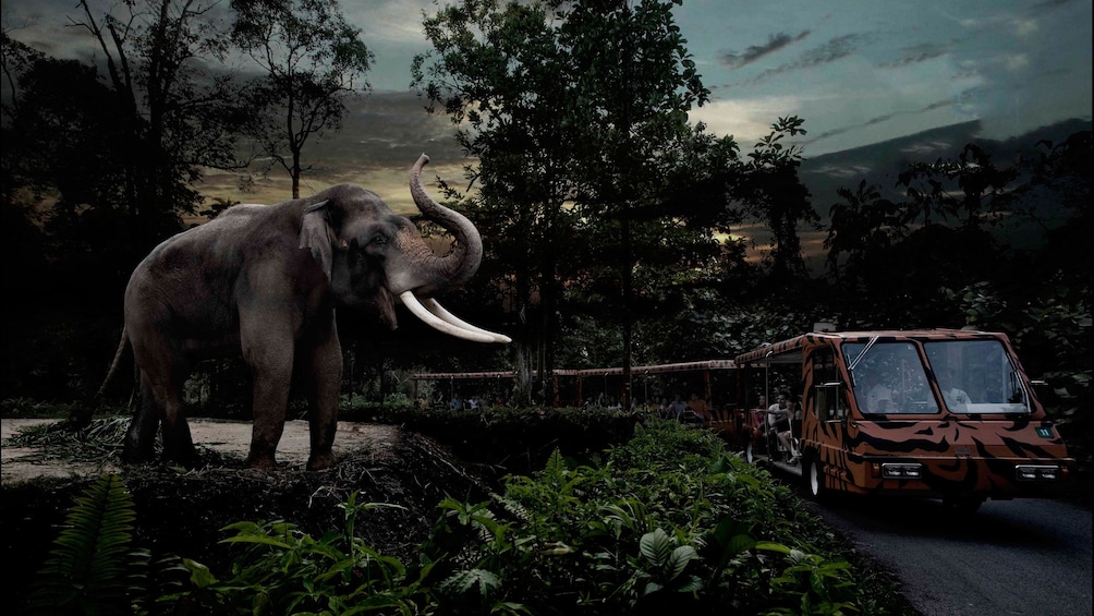 Elephant next to edge of habit raising trunk to approaching vehicle 