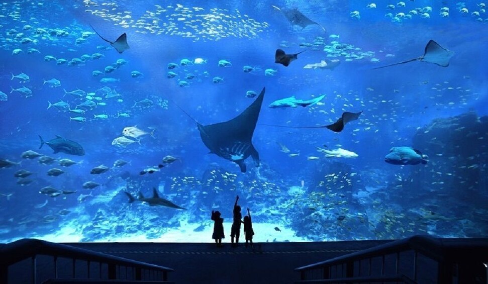 S.E.A. Aquarium™ 1-Day Ticket with Hotel Pickup