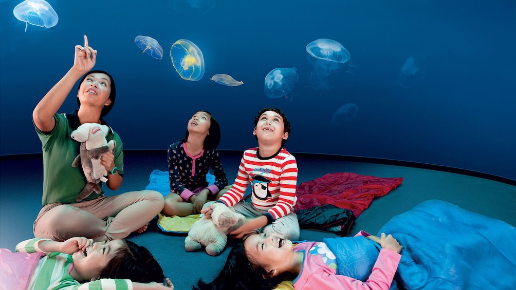 Kids with adult looking at jelly fish at the SEA Aquarium in Singapore 