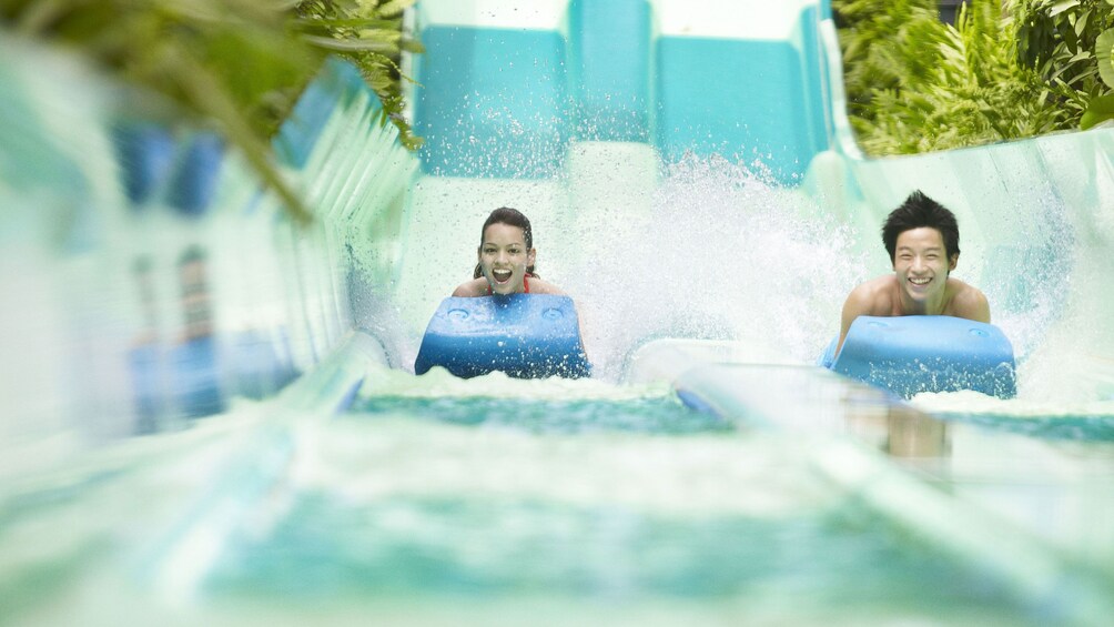 Teenagers on a waterslide at the adventure cove waterpark in Singapore 