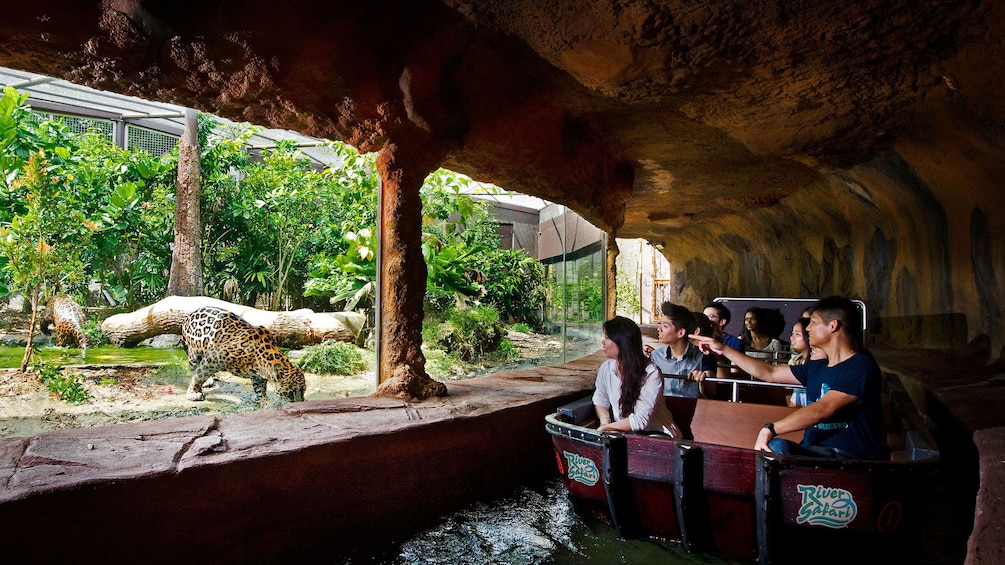 Boat on canal in front of leopard exhibit at the river safari in singapore 