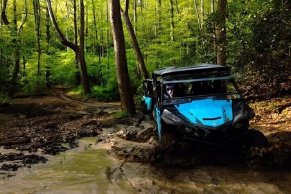 New River Gorge Side by Side Family Tour